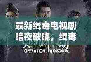 最新缉毒电视剧暗夜破晓，缉毒行动2024深度解析与赏析