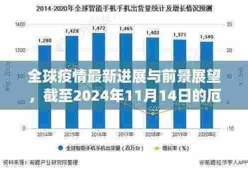 全球疫情最新进展与前景展望,截至2024年11月14日的厄疫情最新消息