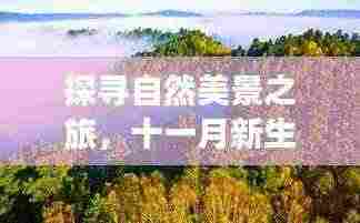 探寻自然美景之旅，十一月新生意经，重拾内心的宁静与平和之道
