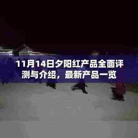 11月14日夕阳红产品全面评测与介绍，最新产品一览