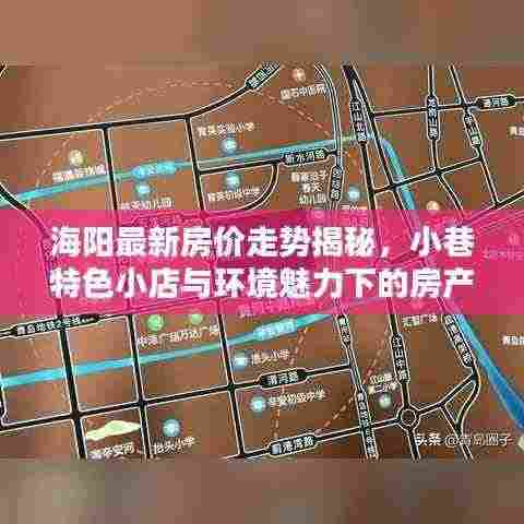 海阳最新房价走势揭秘，小巷特色小店与环境魅力下的房产动态分析