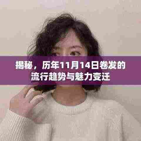 揭秘，历年11月14日卷发的流行趋势与魅力变迁