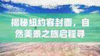 关于我们 第871页