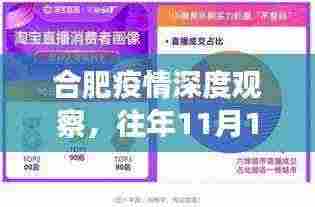 合肥疫情深度观察，往年11月14日的最新动态与深度分析