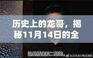 历史上的龙哥，揭秘11月14日的全新篇章