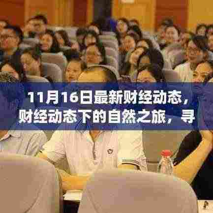 财经动态下的自然之旅，探寻内心的宁静与诗意风景（最新财经动态报道）