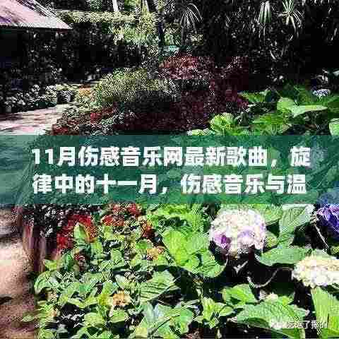 最新伤感音乐网十一月精选歌曲，旋律中的温馨日常与伤感交织的十一月
