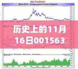 探寻净值变迁的背后故事，历史上的11月16日最新净值分析