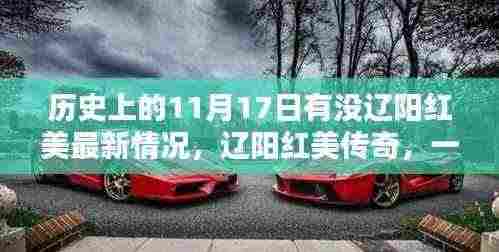 辽阳红美传奇，历史11月17日的温情与友谊日常，辽阳红美最新历史回顾