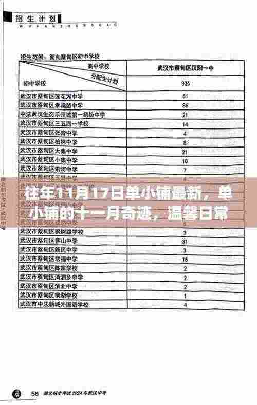 单小铺十一月奇迹，温馨日常与深厚友谊的交织时光