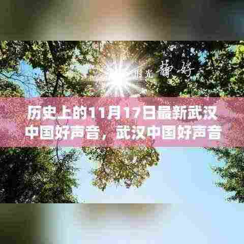 武汉中国好声音，追寻自然美景，唤醒内心宁静之旅的特别纪念日（11月17日）