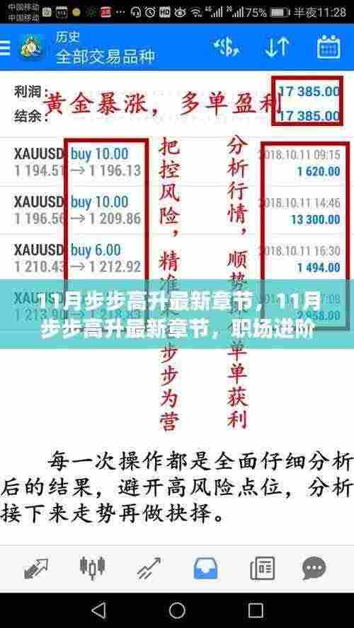 职场进阶手册，11月步步高升，开启上升通道新篇章