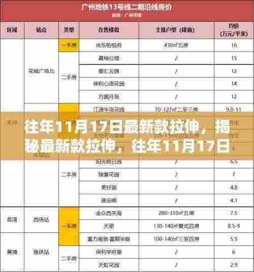揭秘往年11月17日最新款拉伸，时尚潮流与要点解析