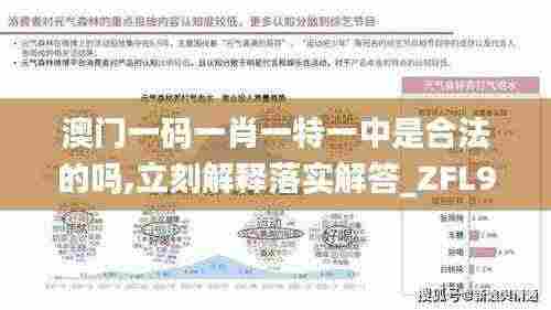 澳门一码一肖一特一中是合法的吗,立刻解释落实解答_ZFL9.42.77习惯版