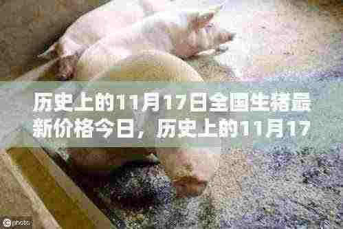 关于我们 第861页