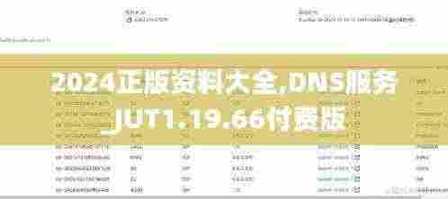 2024正版资料大全,DNS服务_JUT1.19.66付费版