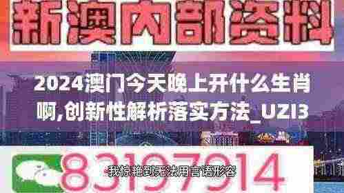 2024澳门今天晚上开什么生肖啊,创新性解析落实方法_UZI3.52.82魔力版