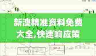 新澳精准资料免费大全,快速响应策略方案_SBJ3.79.39量身定制版