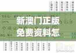 新澳门正版免费资料怎么查,简化解答解释落实_RXV8.37.68魔力版