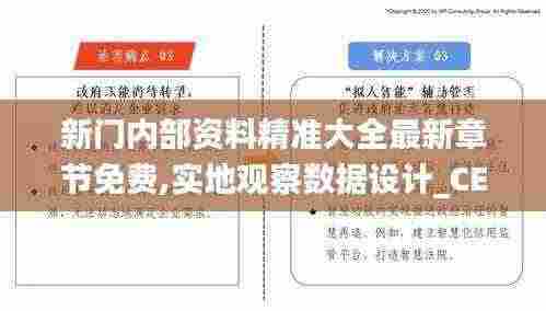 新门内部资料精准大全最新章节免费,实地观察数据设计_CEZ4.39.52随身版