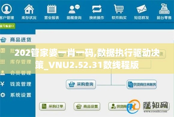 202管家婆一肖一码,数据执行驱动决策_VNU2.52.31数线程版