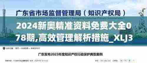 2024新奥精准资料免费大全078期,高效管理解析措施_XLJ3.52.67珍贵版