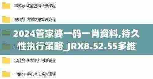 2024管家婆一码一肖资料,持久性执行策略_JRX8.52.55多维版