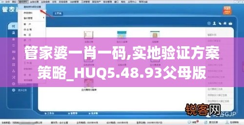 管家婆一肖一码,实地验证方案策略_HUQ5.48.93父母版