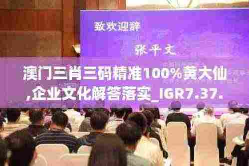 澳门三肖三码精准100%黄大仙,企业文化解答落实_IGR7.37.34别致版