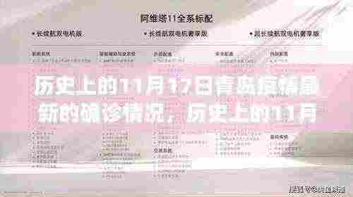 历史上的11月17日青岛疫情最新确诊情况深度解析与评测