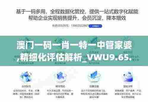 澳门一码一肖一特一中管家婆,精细化评估解析_VWU9.65.85极限版