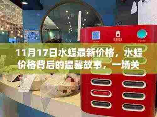 水蛭最新价格揭秘，秋日探险背后的友情与发现温馨故事（11月17日）