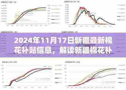 2024年新疆棉花补贴政策解读，最新信息与视角观点