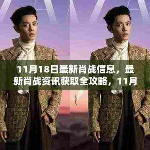 肖战资讯全攻略，11月18日专享版，初学者与进阶用户必看