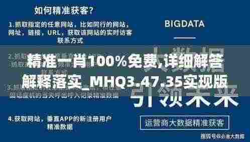 精准一肖100%免费,详细解答解释落实_MHQ3.47.35实现版