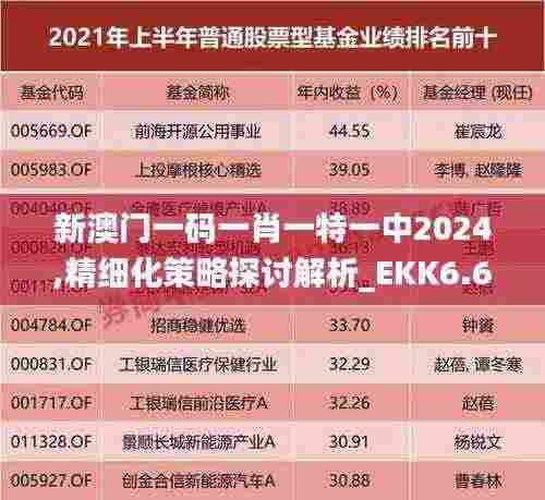 新澳门一码一肖一特一中2024,精细化策略探讨解析_EKK6.60.53养生版
