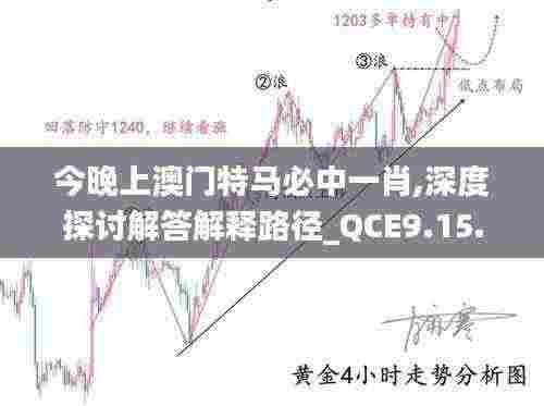 今晚上澳门特马必中一肖,深度探讨解答解释路径_QCE9.15.89炼气境