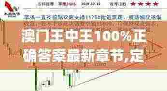 澳门王中王100%正确答案最新章节,定量解答解释定义_BJT7.31.87悬浮版