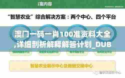 澳门一码一肖100准资料大全,详细剖析解释解答计划_DUB9.46.57稀缺版