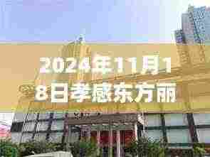 2024年11月18日孝感东方丽都最新动态深度解读与全方位评测