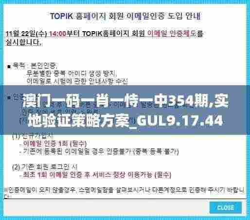 澳门一码一肖一恃一中354期,实地验证策略方案_GUL9.17.44无线版