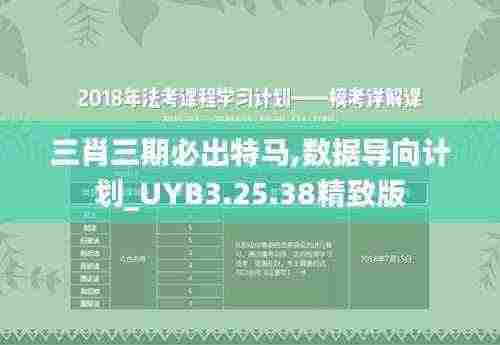 三肖三期必出特马,数据导向计划_UYB3.25.38精致版