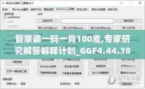 管家婆一码一肖100准,专家研究解答解释计划_GGF4.44.38预言版