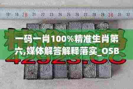 一码一肖100%精准生肖第六,媒体解答解释落实_OSB1.77.76私人版