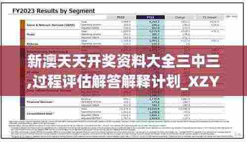 新澳天天开奖资料大全三中三,过程评估解答解释计划_XZY2.60.54文化传承版