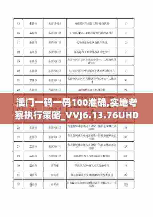 澳门一码一码100准确,实地考察执行策略_VVJ6.13.76UHD