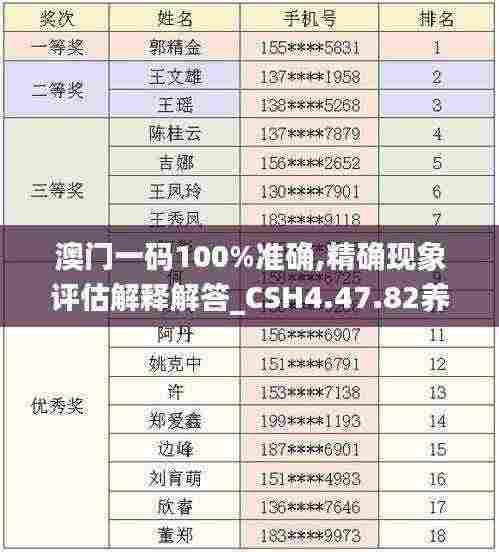 澳门一码100%准确,精确现象评估解释解答_CSH4.47.82养生版