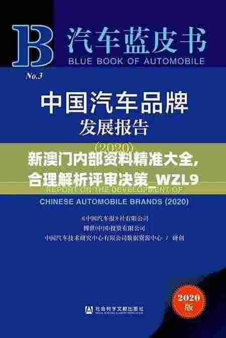 新澳门内部资料精准大全,合理解析评审决策_WZL9.30.70云端版