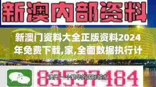新澳门资料大全正版资料2024年免费下载,家,全面数据执行计划_BVN9.77.56外观版