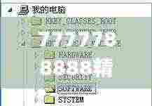 7777788888精准新传真112,实地执行验证计划_SDJ2.27.88味道版